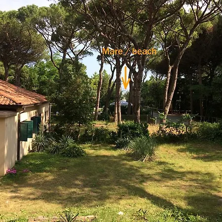 בית נופש House *